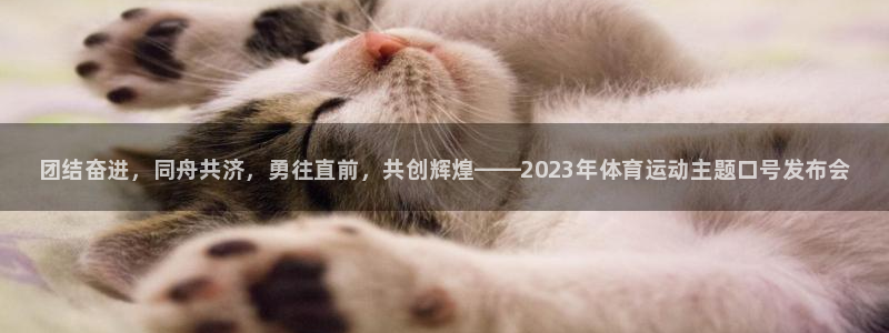 3377体育中国官方网站入口