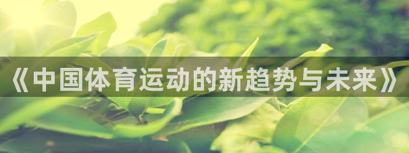3377体育平台