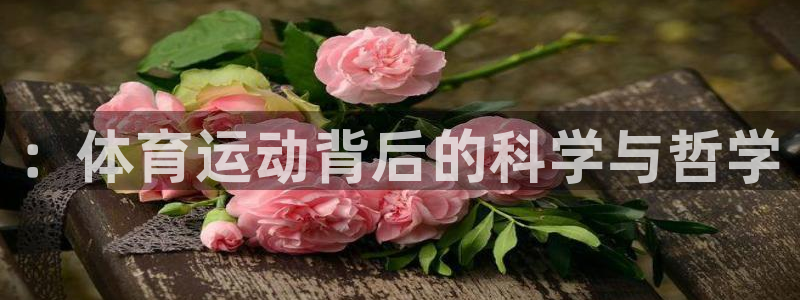 3377体育全网