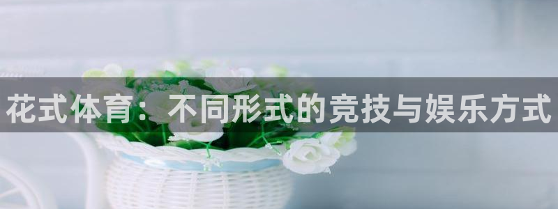 3377体育官网入口下载最新