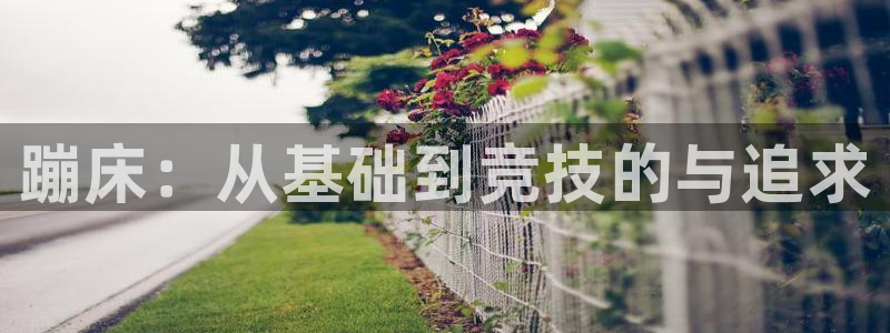 3377体育在线登录官网入口