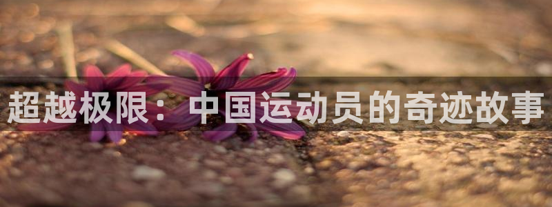 3377体育在线