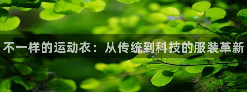 3377体育是正规平台吗