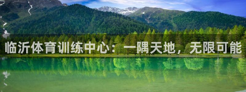 3377体育官网入口网页版