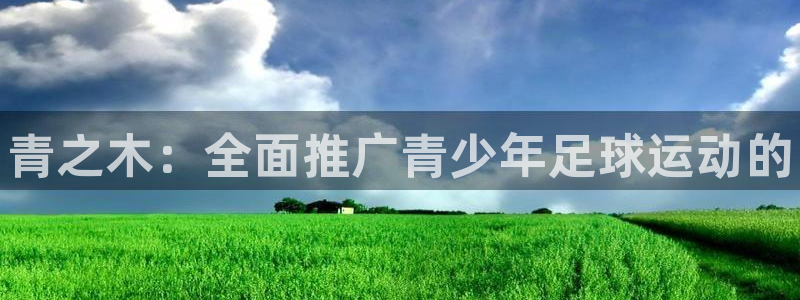 3377体育(中国)官方网站
