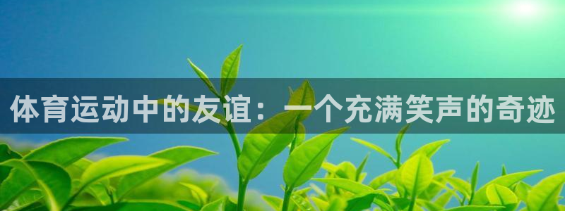 3377体育全网