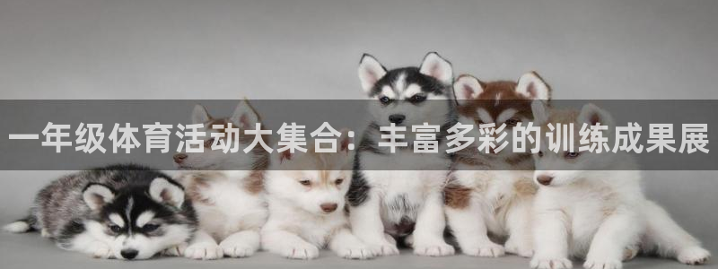 3377体育全网