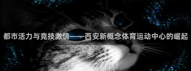 3377体育官网下载