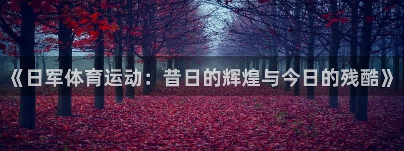 3377体育app下载安装