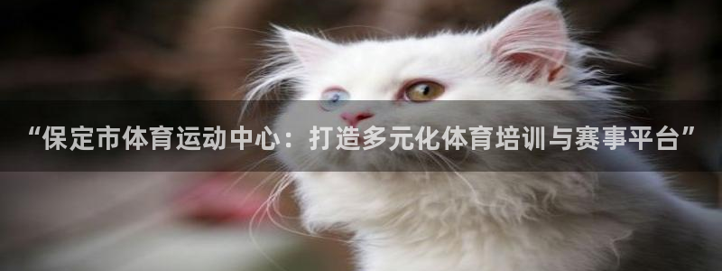 3377体育网页登录入口