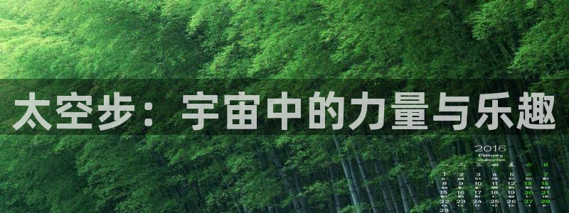 3377体育app官方下载