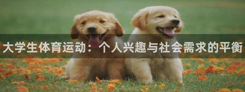 3377体育在线登录官网入口