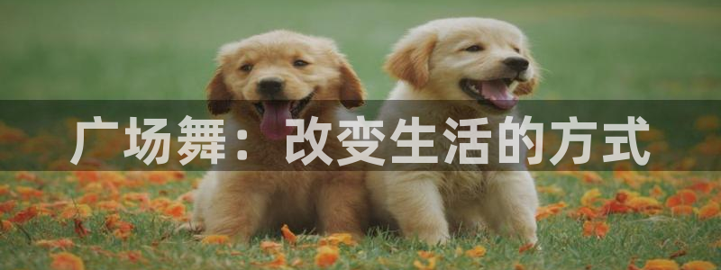 3377体育官网入口下载最新