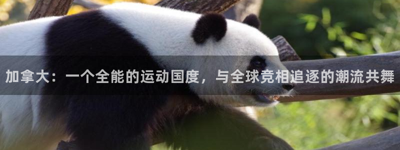 3377体育中国官方网站入口