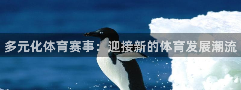 3377体育官网入口网页版