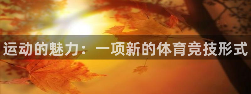 3377体育