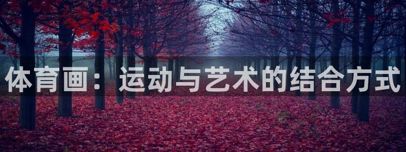 3377体育平台