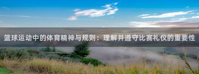 3377体育全网
