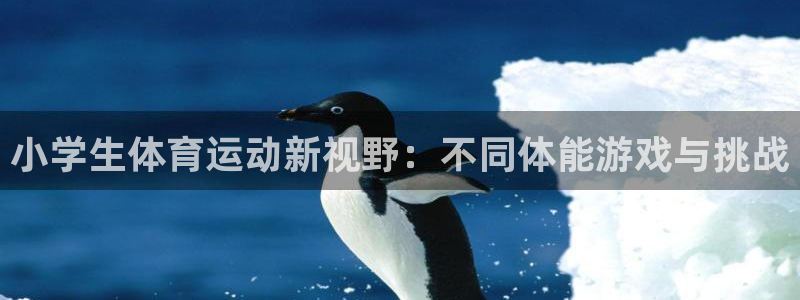 3377体育app官网下载地址
