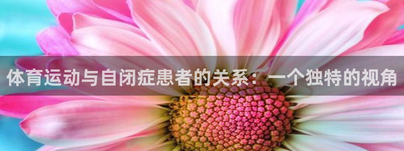 3377体育全网
