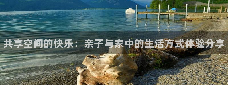 3377体育官网下载