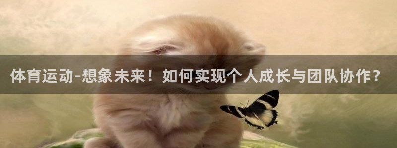 3377体育app官方下载