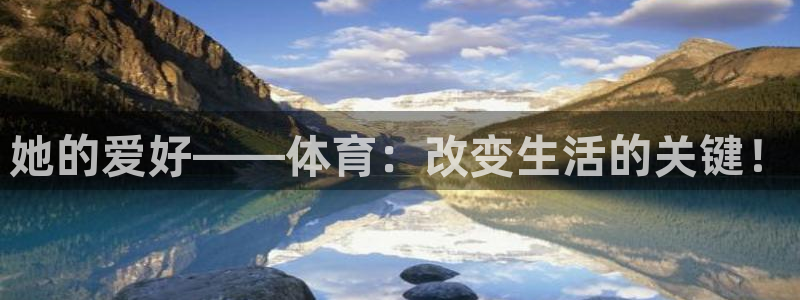 3377体育官网入口网页版
