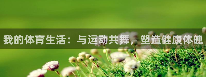 3377体育网页登录入口