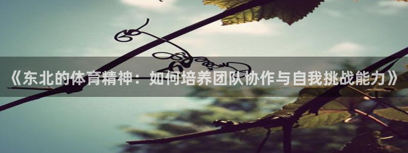 3377体育在线