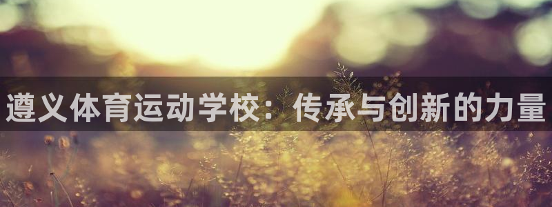 3377体育全网