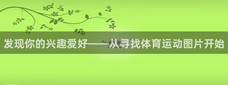 3377体育全网